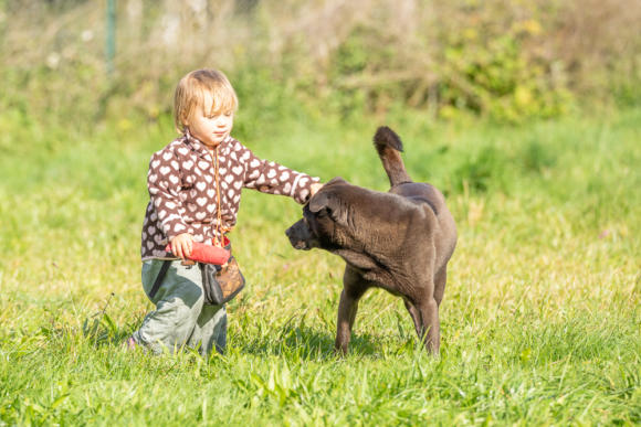 Hundeschule Tutzing Leckerlibeutel