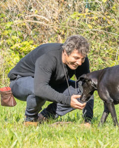 Apportierübungen in der Hundeschule