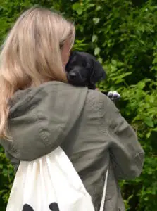 Welpenschule Hundezucht Nachwuchs Hund