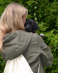 Welpenschule Hundezucht Nachwuchs Hund
