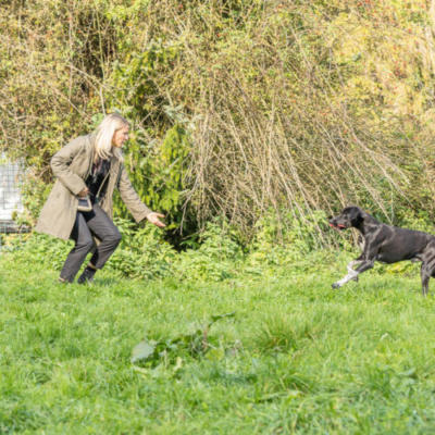 Julia von Hammerstein - Hundeschule Tutzing, Hundetrainerin